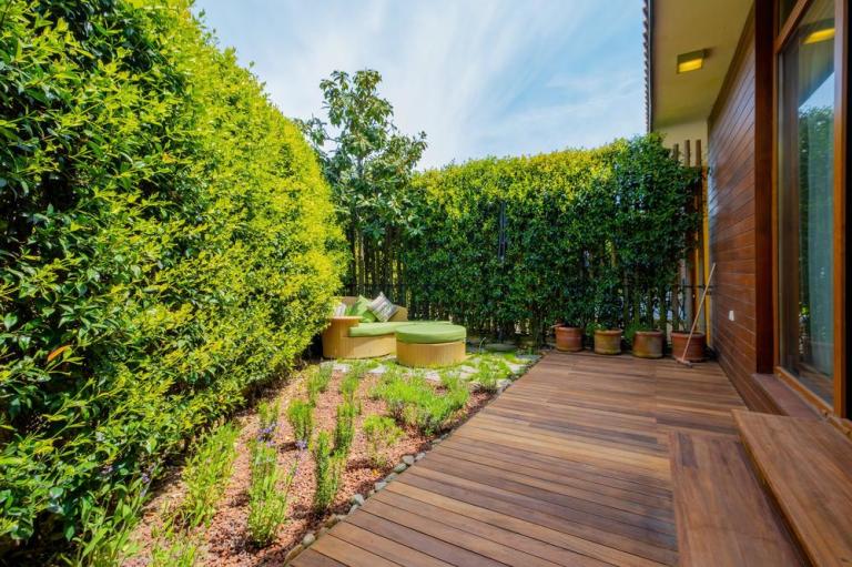 Entretien de votre terrasse en bois à Duntzenheim, guide complet